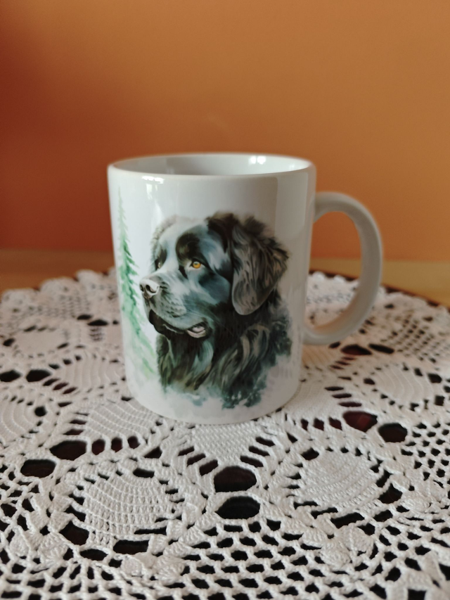Mug céramique Terre Neuve