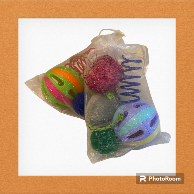 Cat Toy Gift Bag