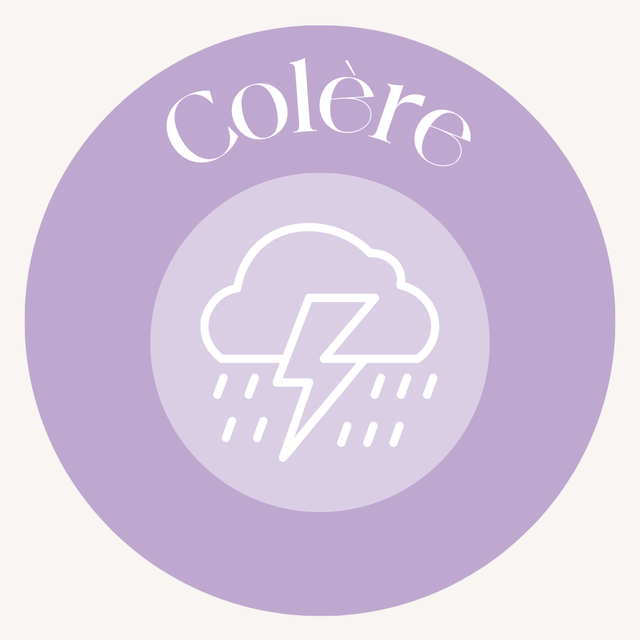 Gestion de la colère (10 séances)