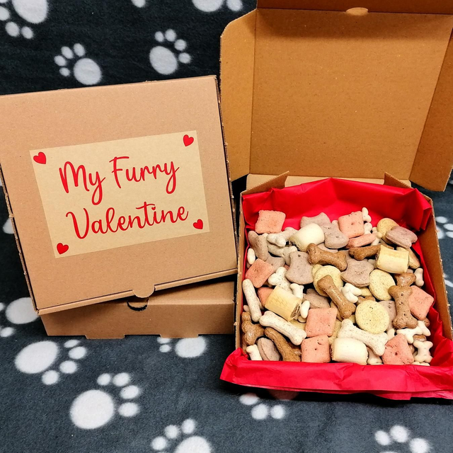 Valentine's Biscuit Box 