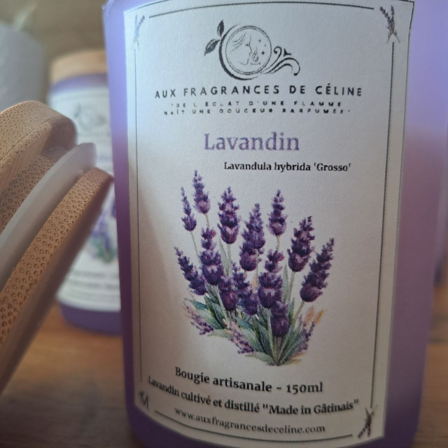 Bougie au Lavandin