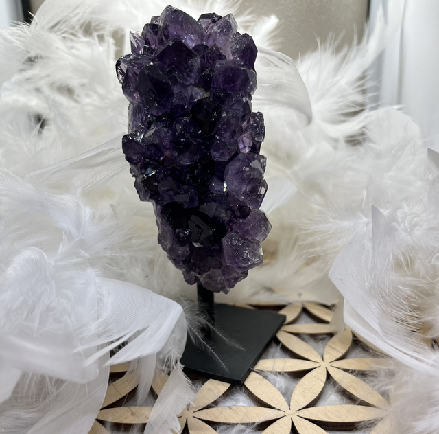 Amethyste sur pied 