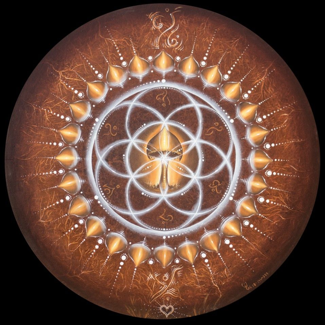 Champignon graine de vie