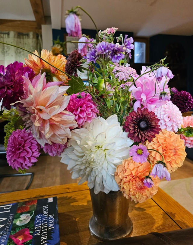 Cut and Create a Vase of Dahlias ~ Wednesday 20th August - 5pm - 8pm