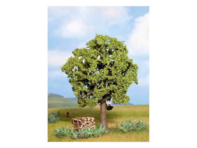 Hêtre 13cm Noch 21690