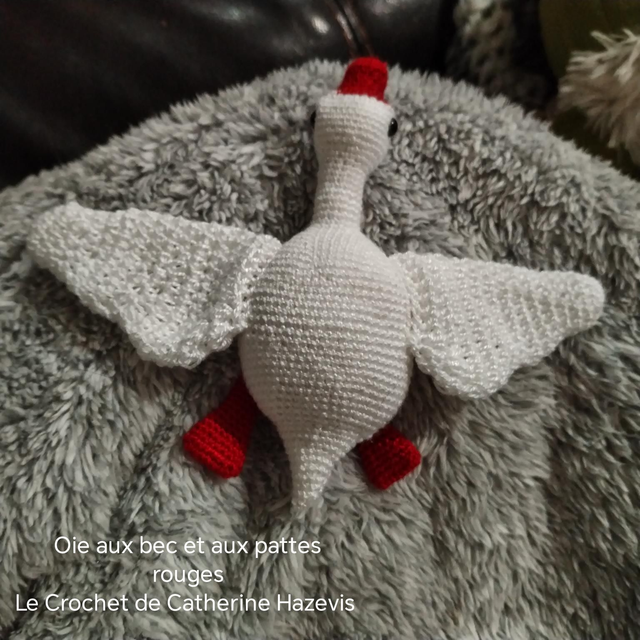 2025 Oie au bec et aux pattes rouges 