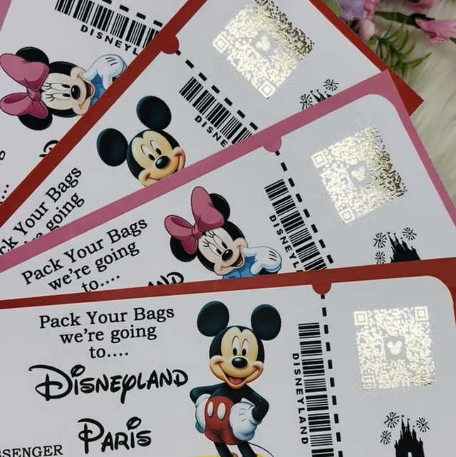Surprise Disneyland gift ticket/boarding pass