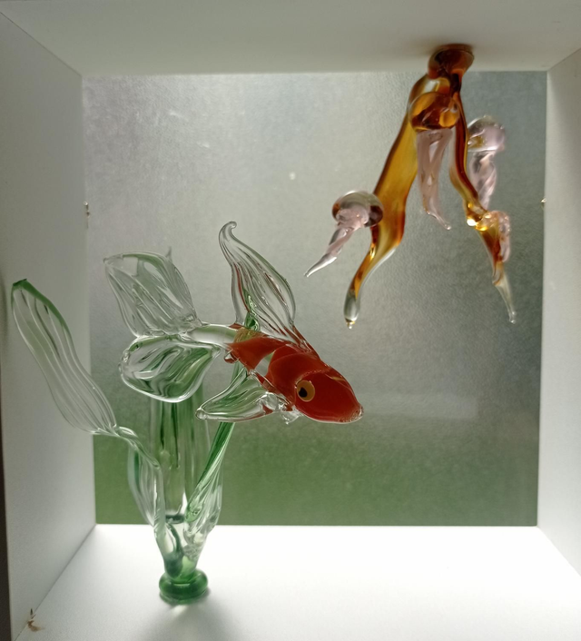 Cadre poisson rouge algue et méduses. Apposer ou suspendre