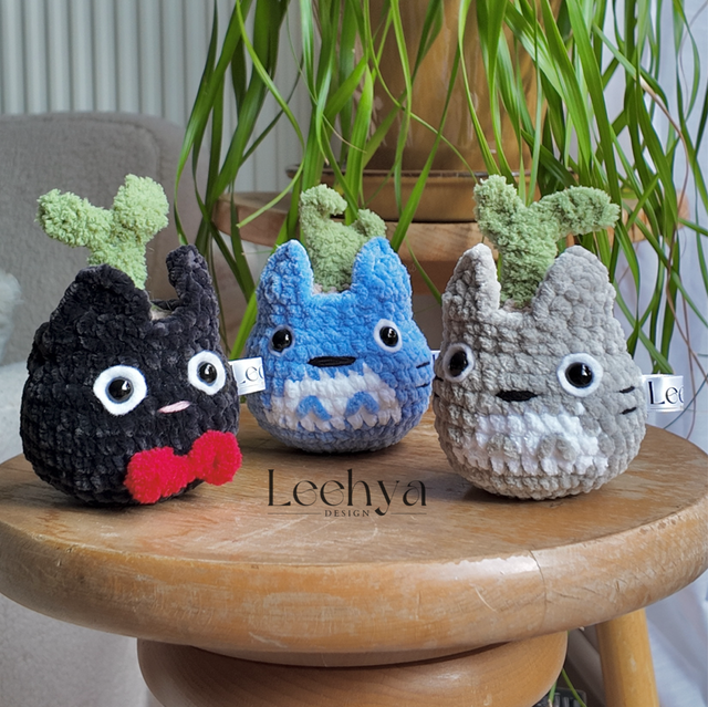 Tanuki plante en pot