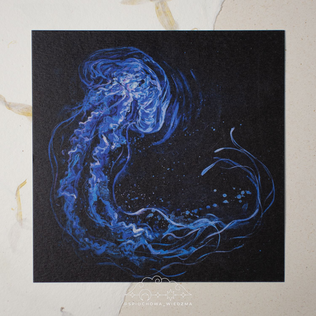 Print Meduza | ZWIERZĘTA