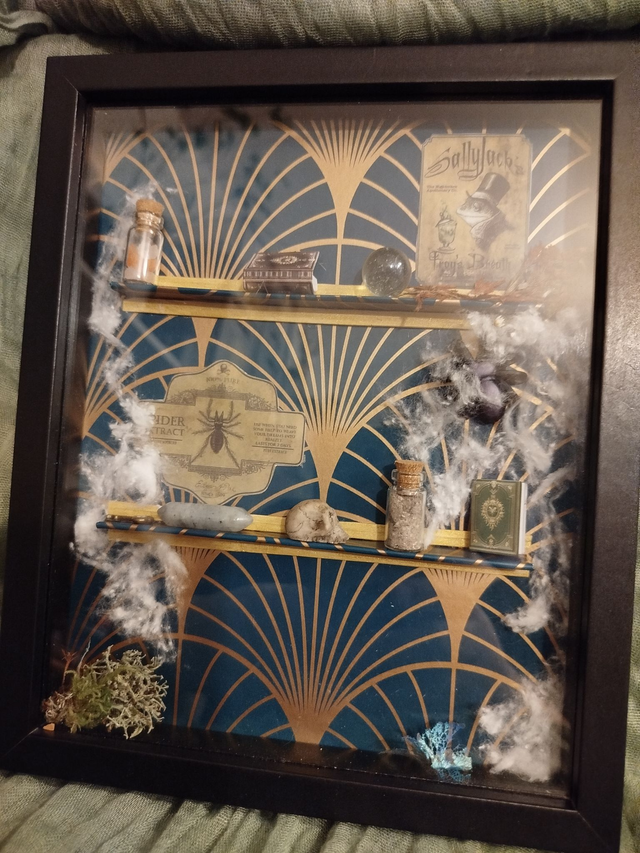 cabinet de curiosité 4