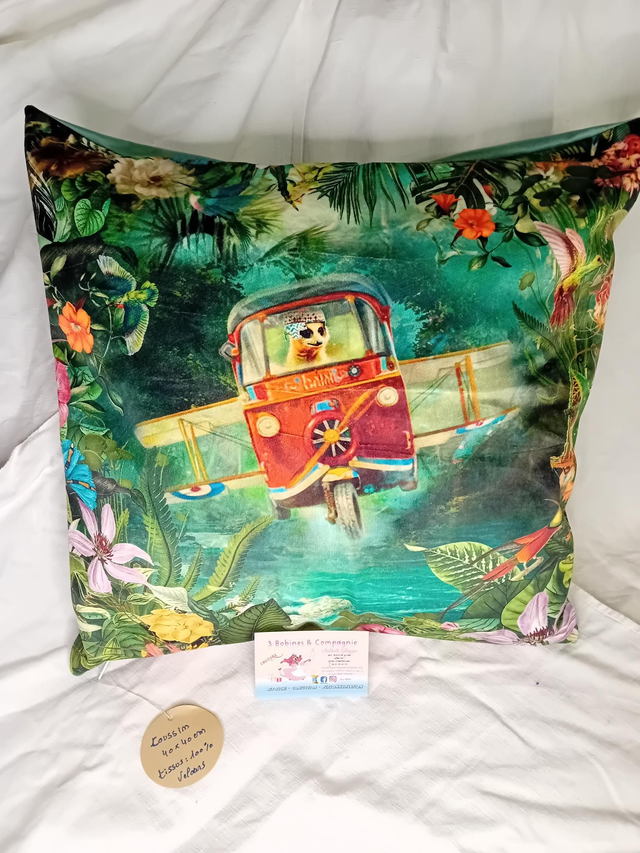 Coussin en velours 