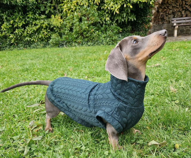 Cable knit dog jersey