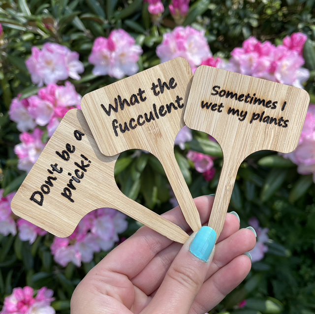 Bamboo House Plant Markers