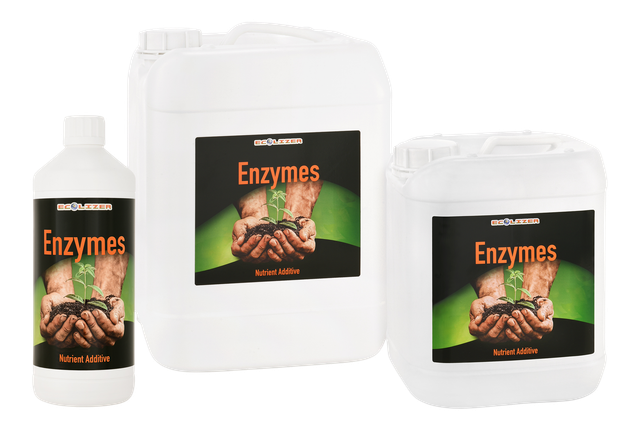 Ecolizer Enzymes 1 ltr