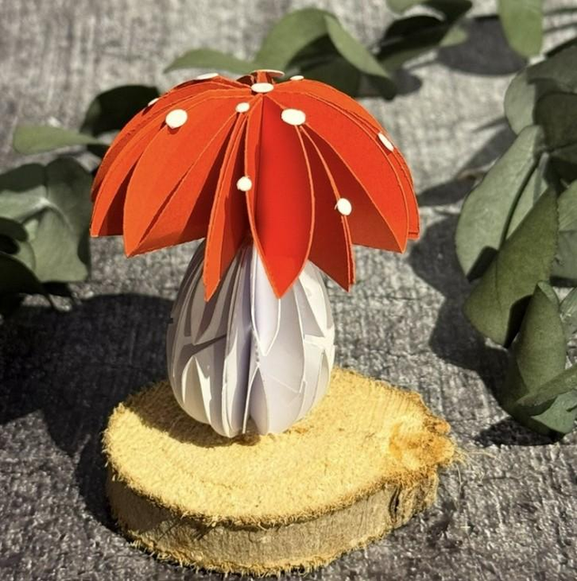 Glückspilz Nr.481 M Hersteller: Farbton-Design GmbH  