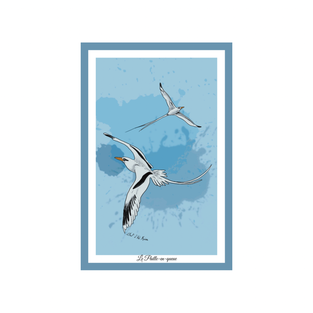 Carte postale - Paille-en-queue