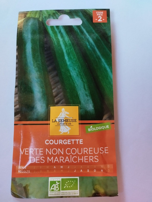 Courgette Verte non coureuse des maraichers BIO