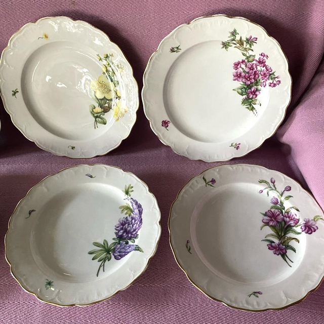 Wunderschönes Set von 12 KPM Tellern mit handgemalten Blumen, um 1850 