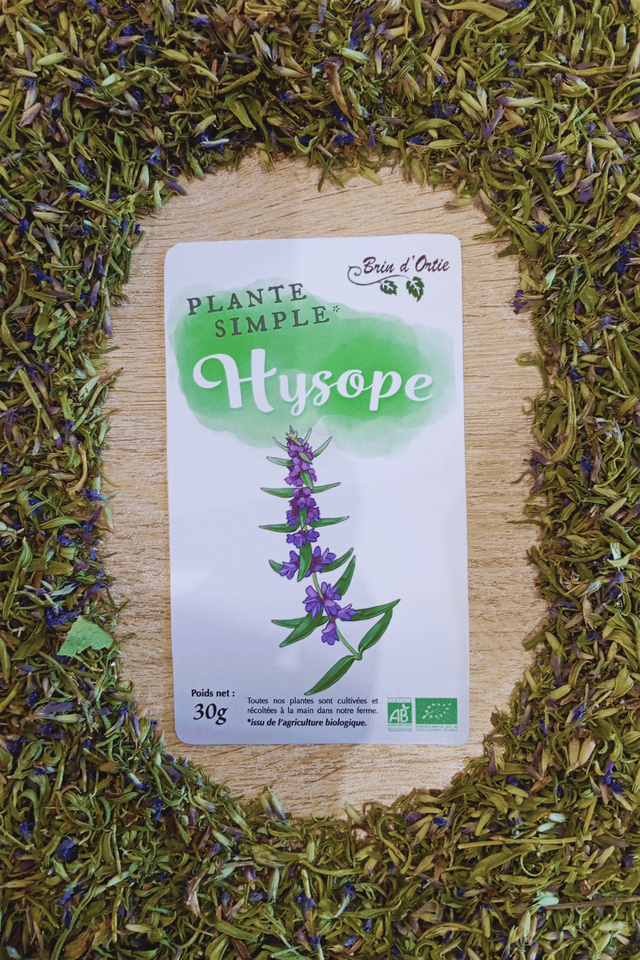 Plante simple, Hysope