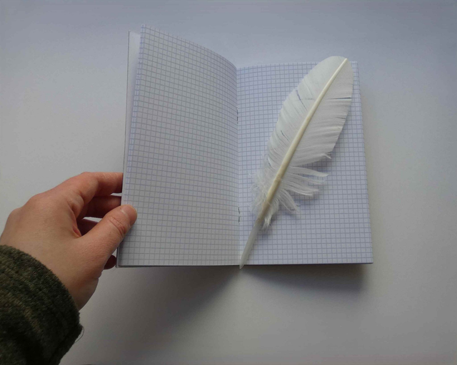 Les kangourous du petit carnet quadriller