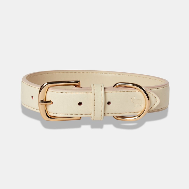 BarcLondon - Light Ivory Dog Collar