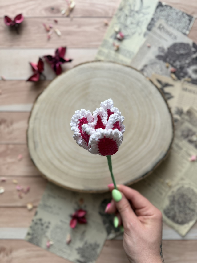Tulipe perroquet (personnalisable pour créer votre bouquet)