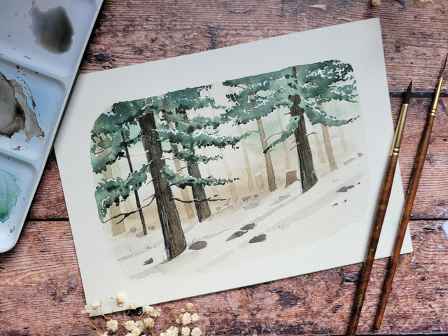 Forêt de sapins en hiver