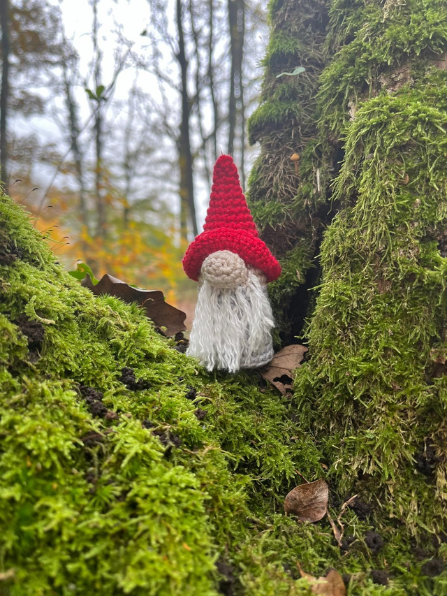 Gnome 