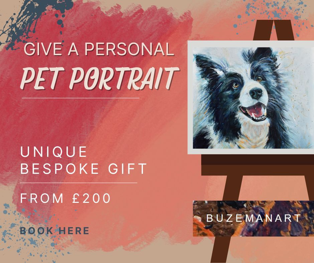 Commission a Pet Portrait 