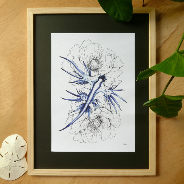 PRINT A4 – Glaucus