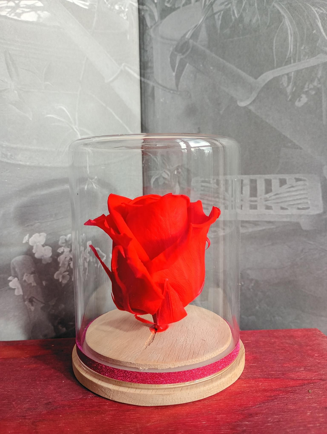 S05 unique rose rouge