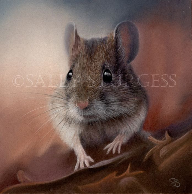 "Little Mouse" 6x6" Original Pastel Painting Artwork