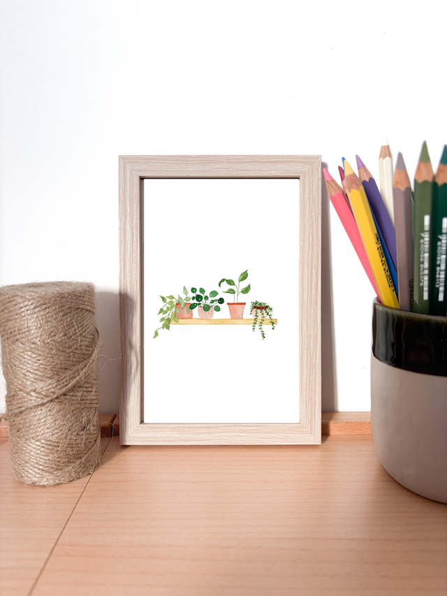 Illustration Petites plantes