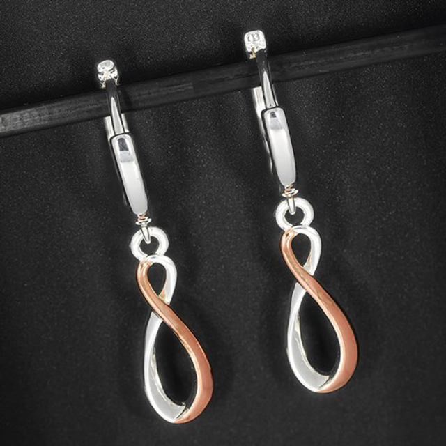 Jewellery Loop Earrings 