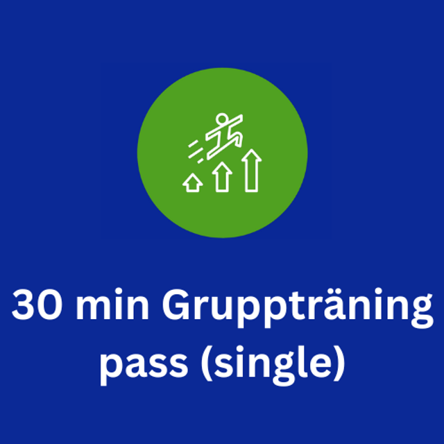 30 min Gruppträning pass (single)