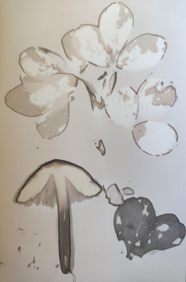 Bouquet d'automne – Cyclamen et champignon 2