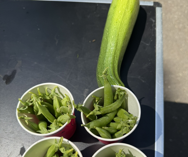 Vegetable