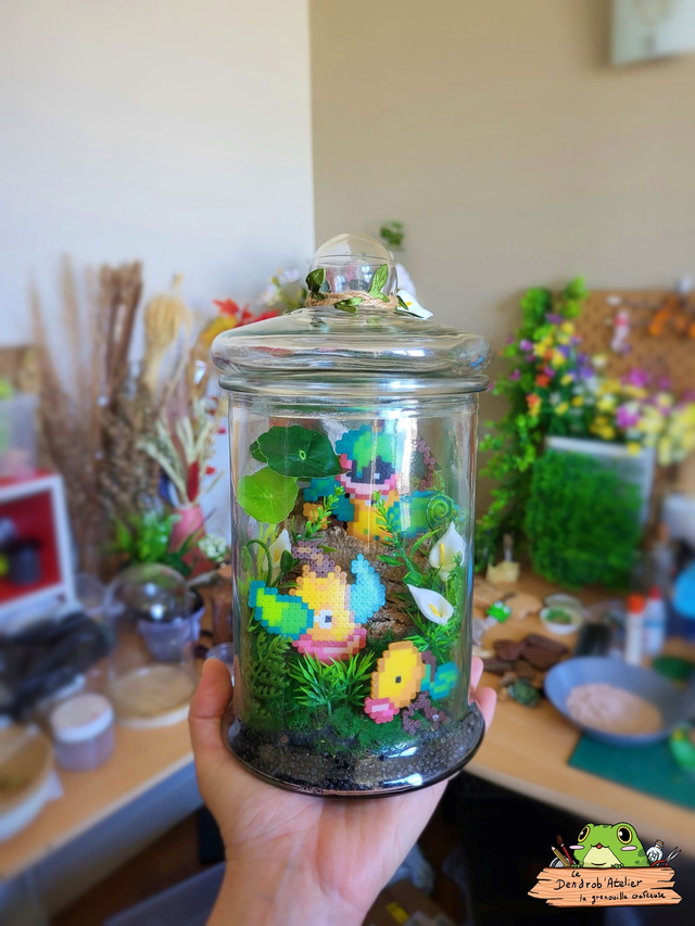 Terrarium Chétivolution