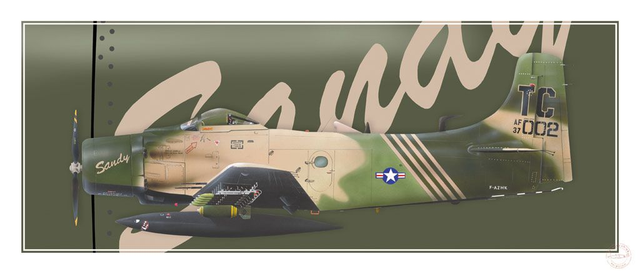 Tirage Papier TN17 "Douglas Skyraider"