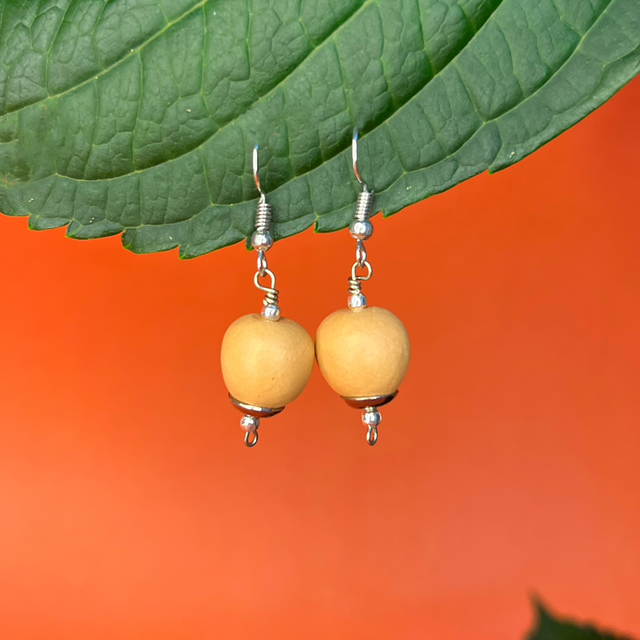 Brinco Bola Pequena Prata 