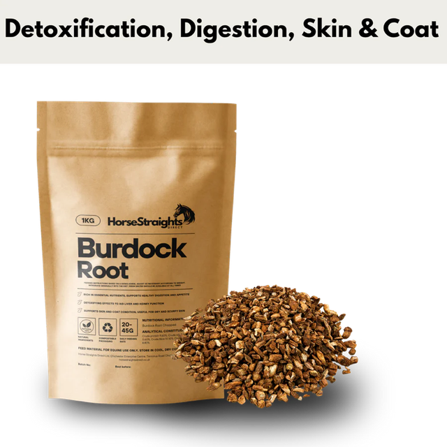 Burdock Root - HORSE STRAIGHTS 
