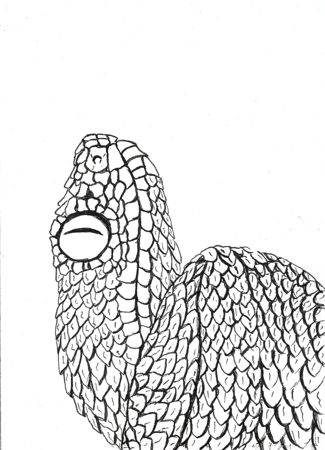 Carte &quot;Finis Moi!&quot; - La Vipère des buissons - 10x14 cm