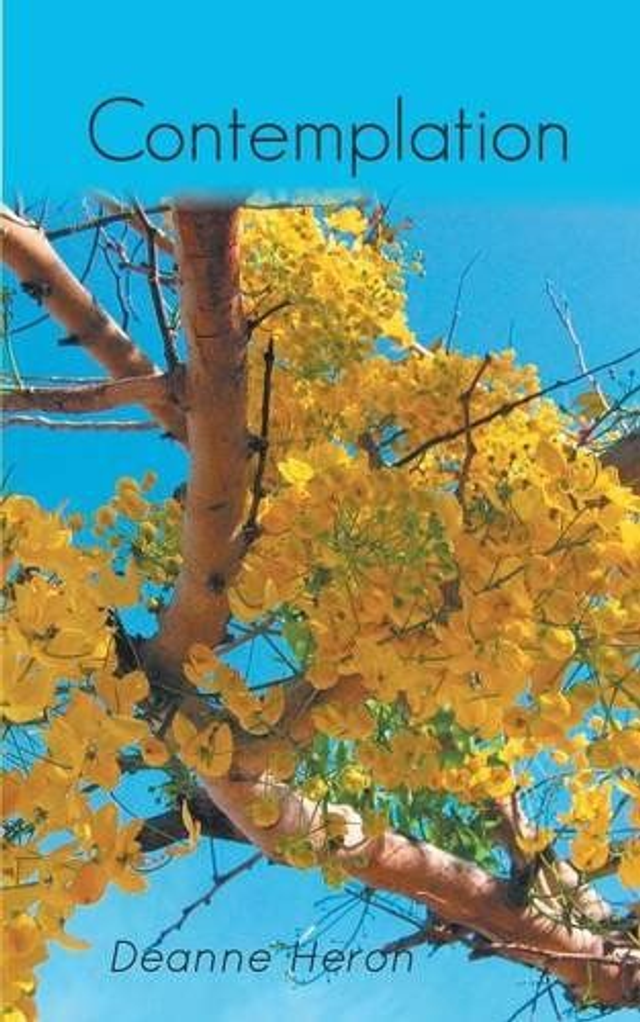 Contemplation Volume 1