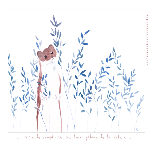 Carte-poème Belette