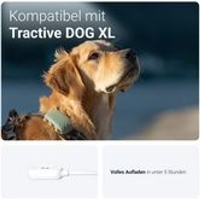 Tractive GPS DOG XL - Charger USB-C - white