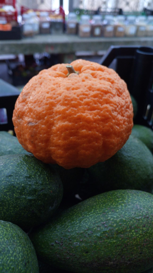 Mandarina Gold Nugget