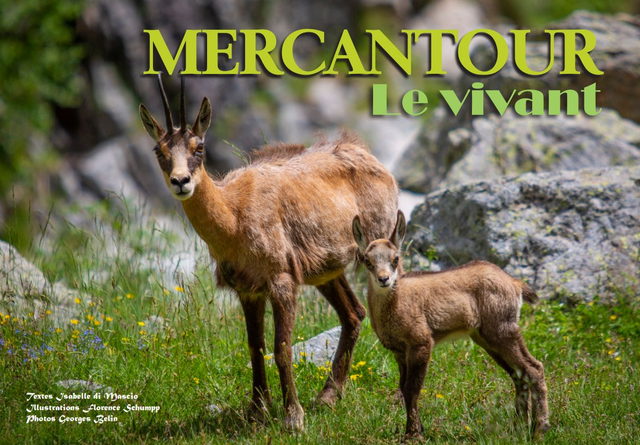 Livre "MERCANTOUR, le Vivant" envoi par la poste