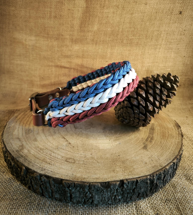 🇫🇷 Collier & laisse "Esprit Français"