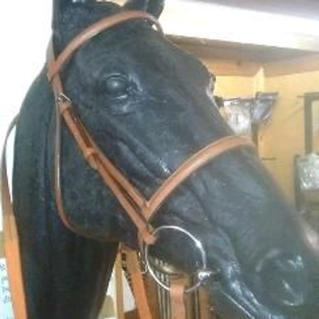 Purcell Racing Bridle with Stitched in Race Bradoon 